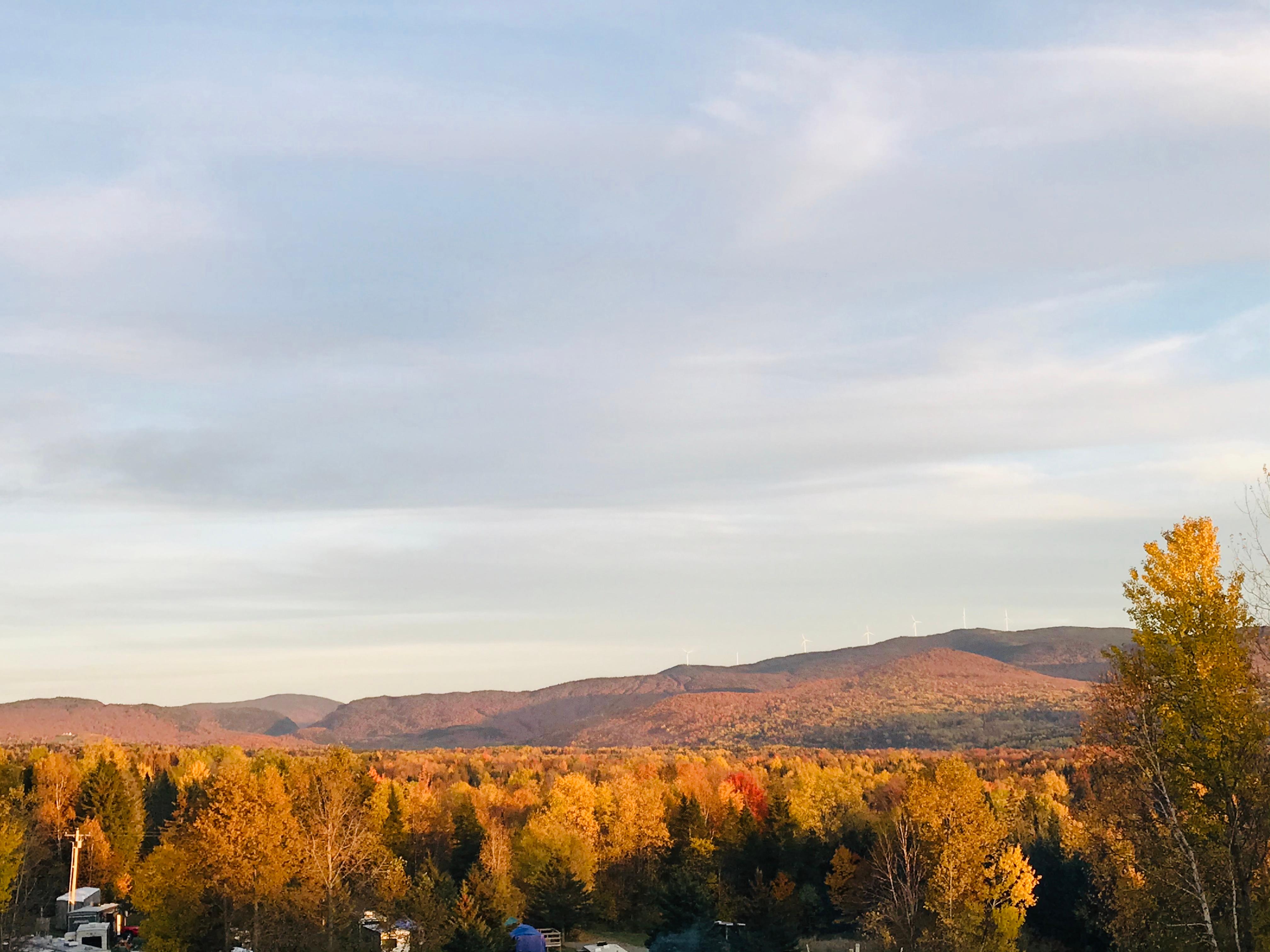  View from main house