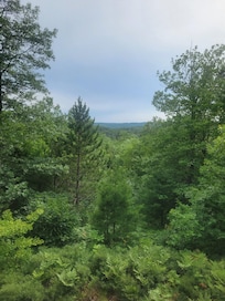 Afternoon view
