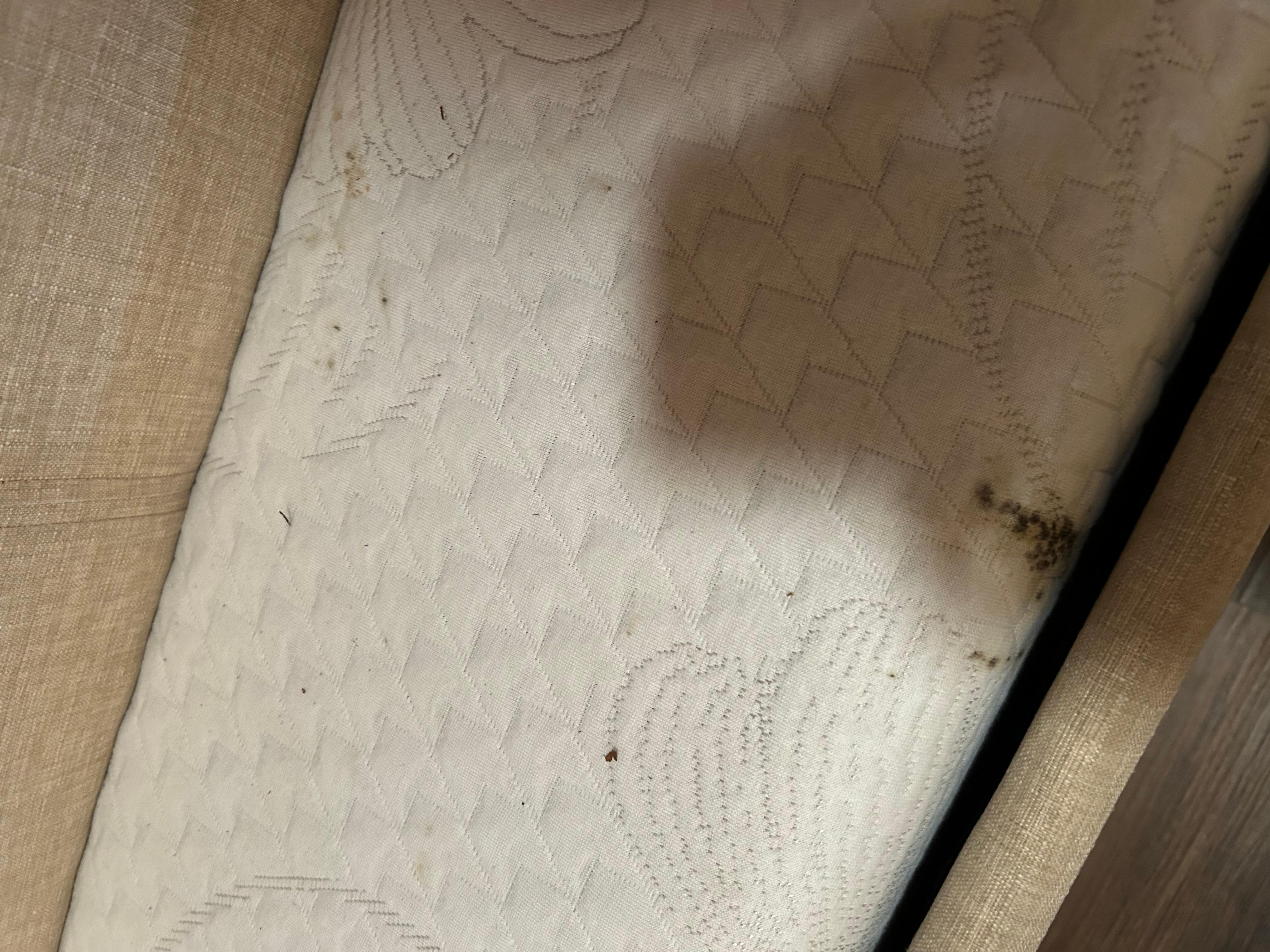 Mold on trundle