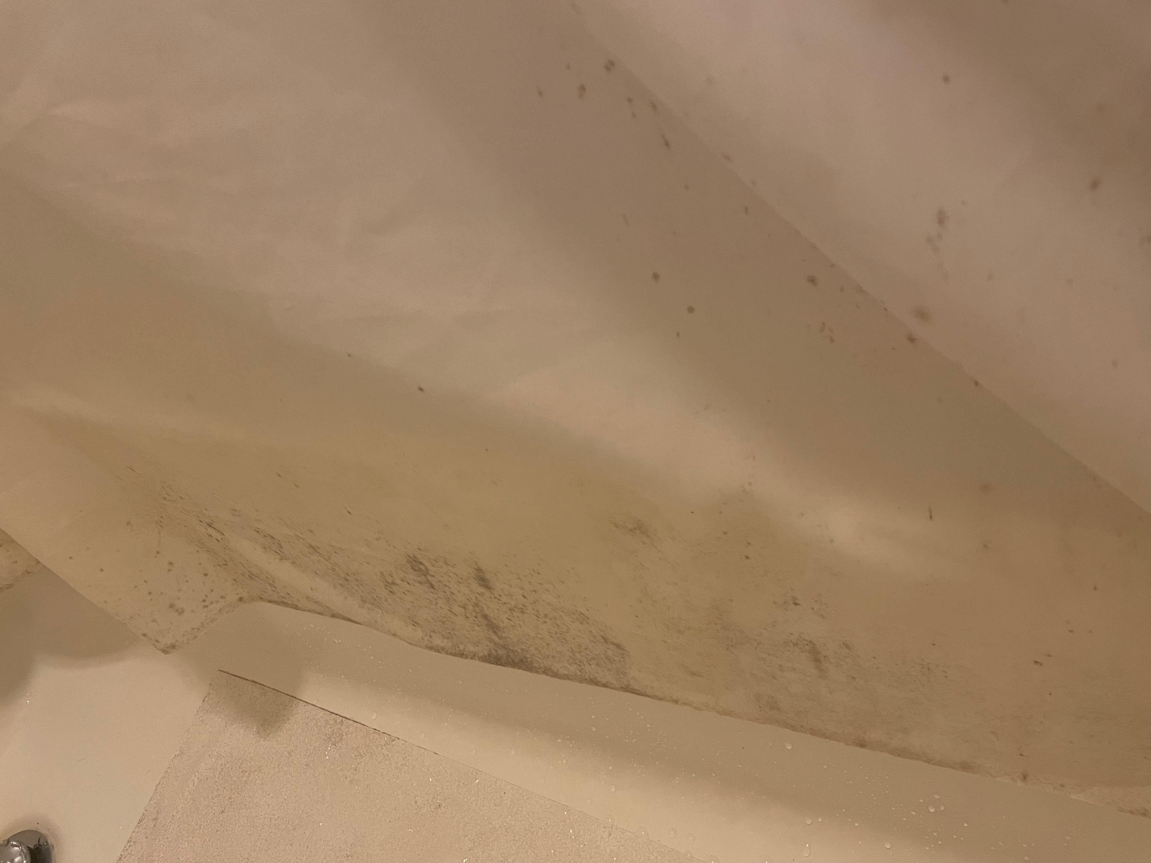 more mold