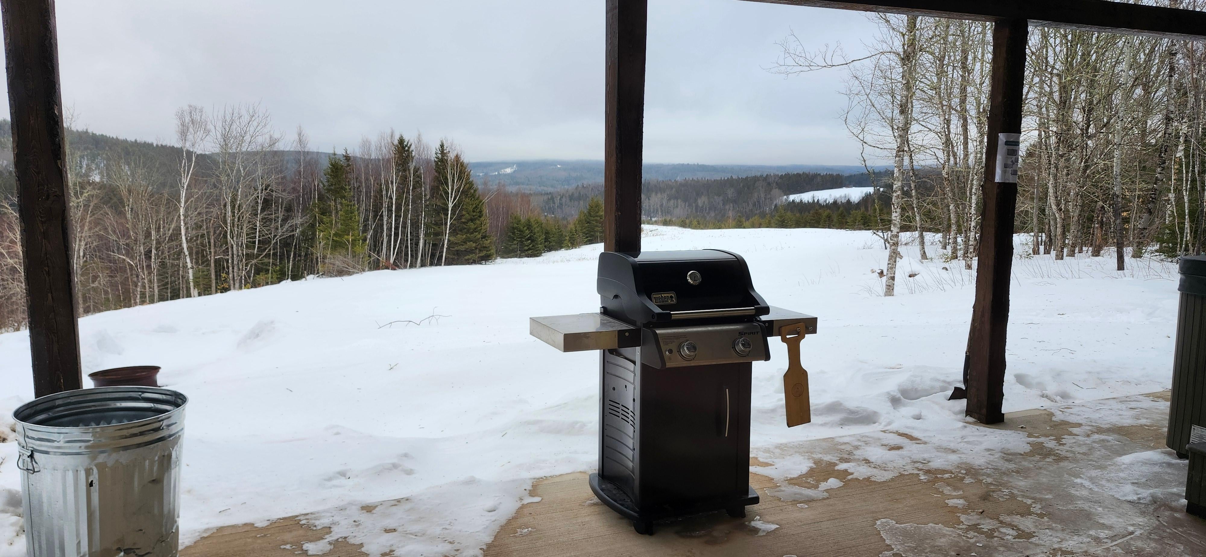 View from the covered patio.