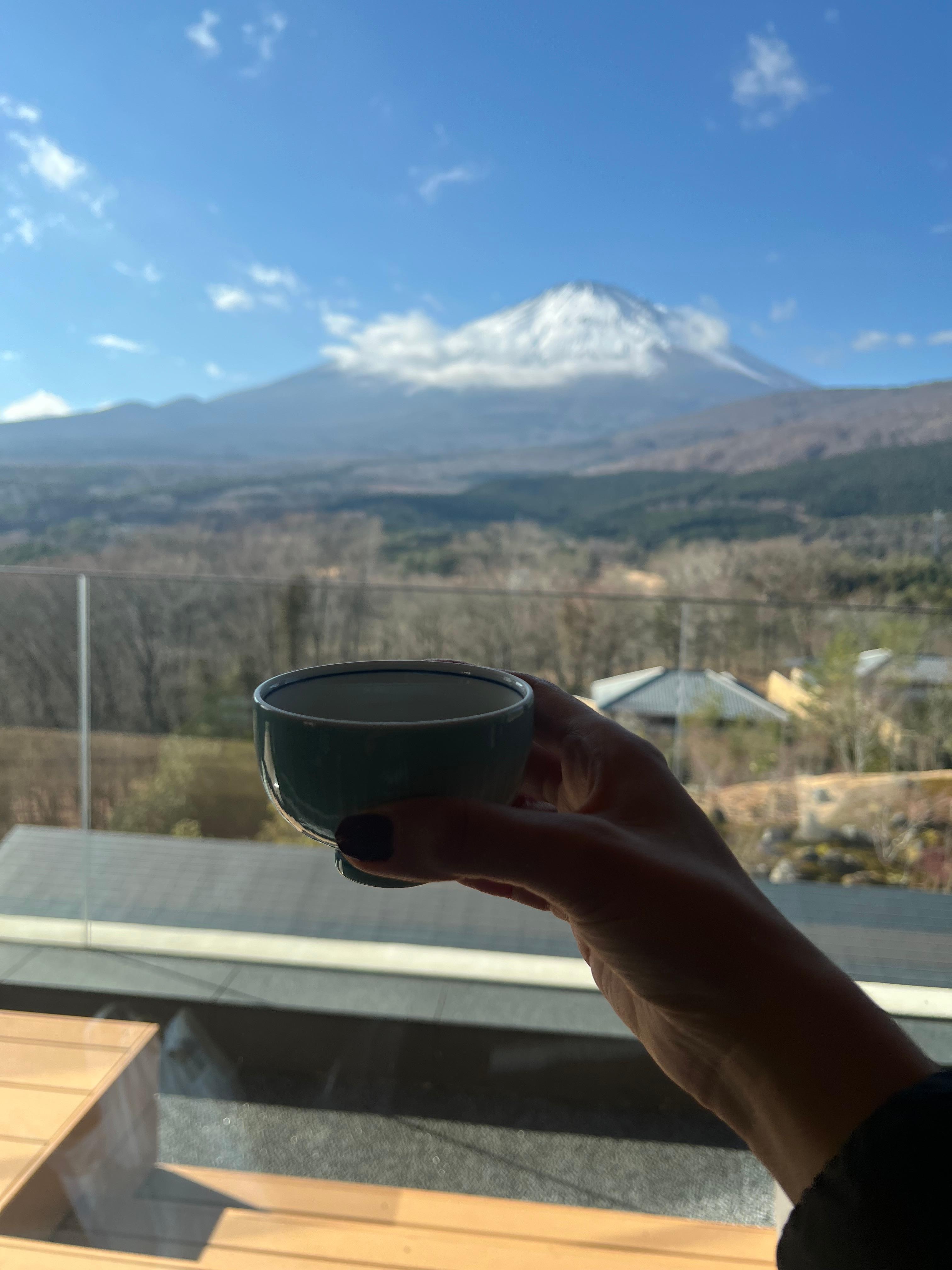 The view of Mount Fuji! 
