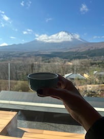 The view of Mount Fuji!