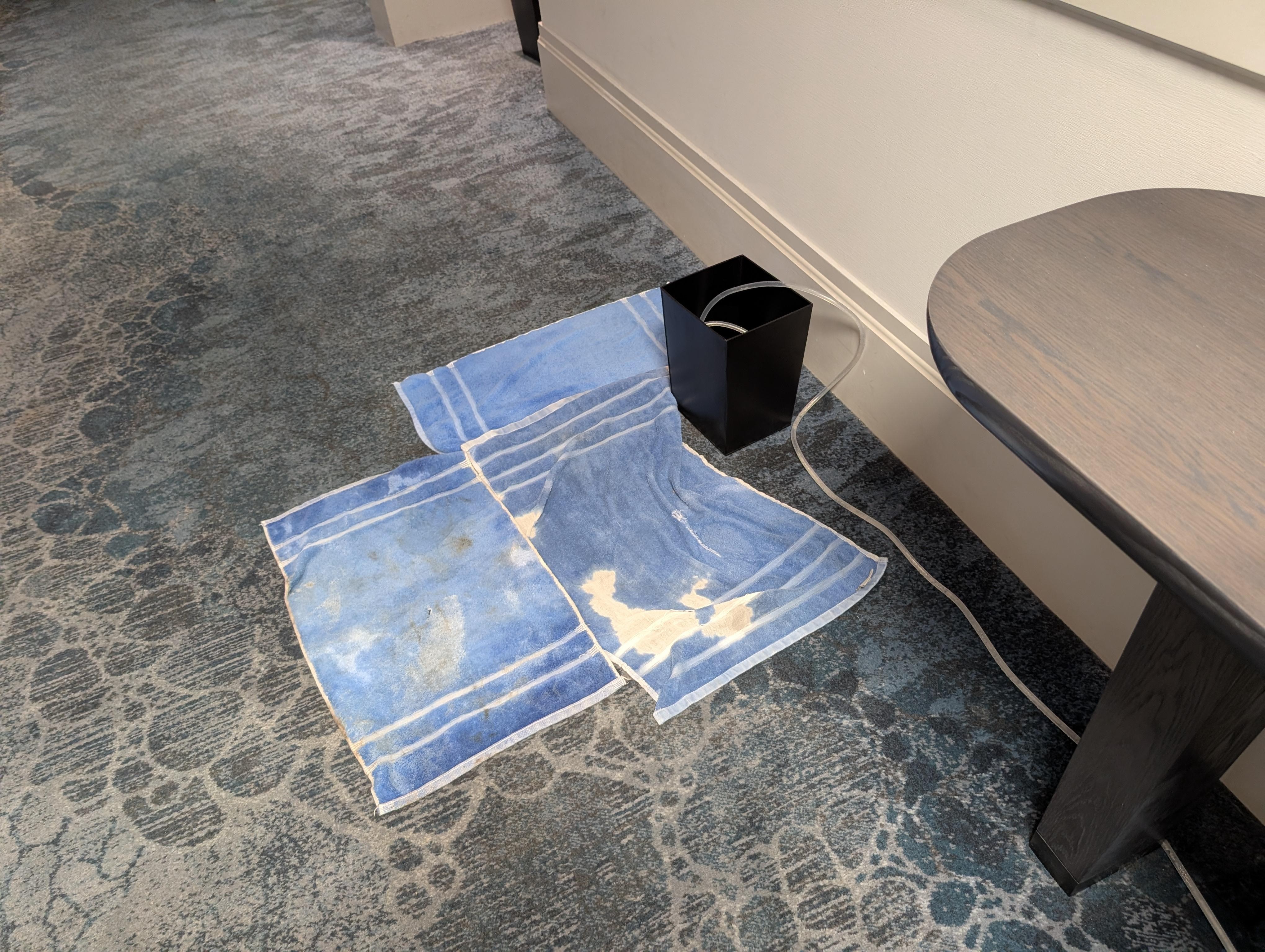 Trying to clean wet hallway carpet