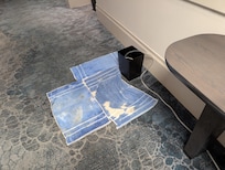 Trying to clean wet hallway carpet