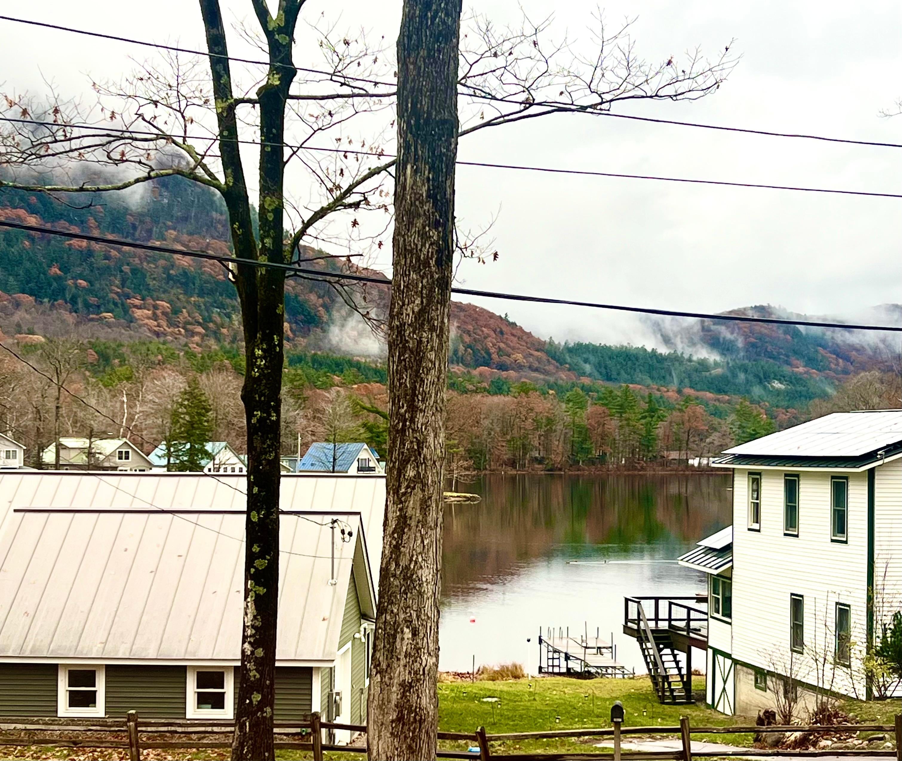 Our view from the sunroom