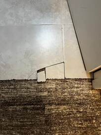 Bathroom floor broken loose tiles