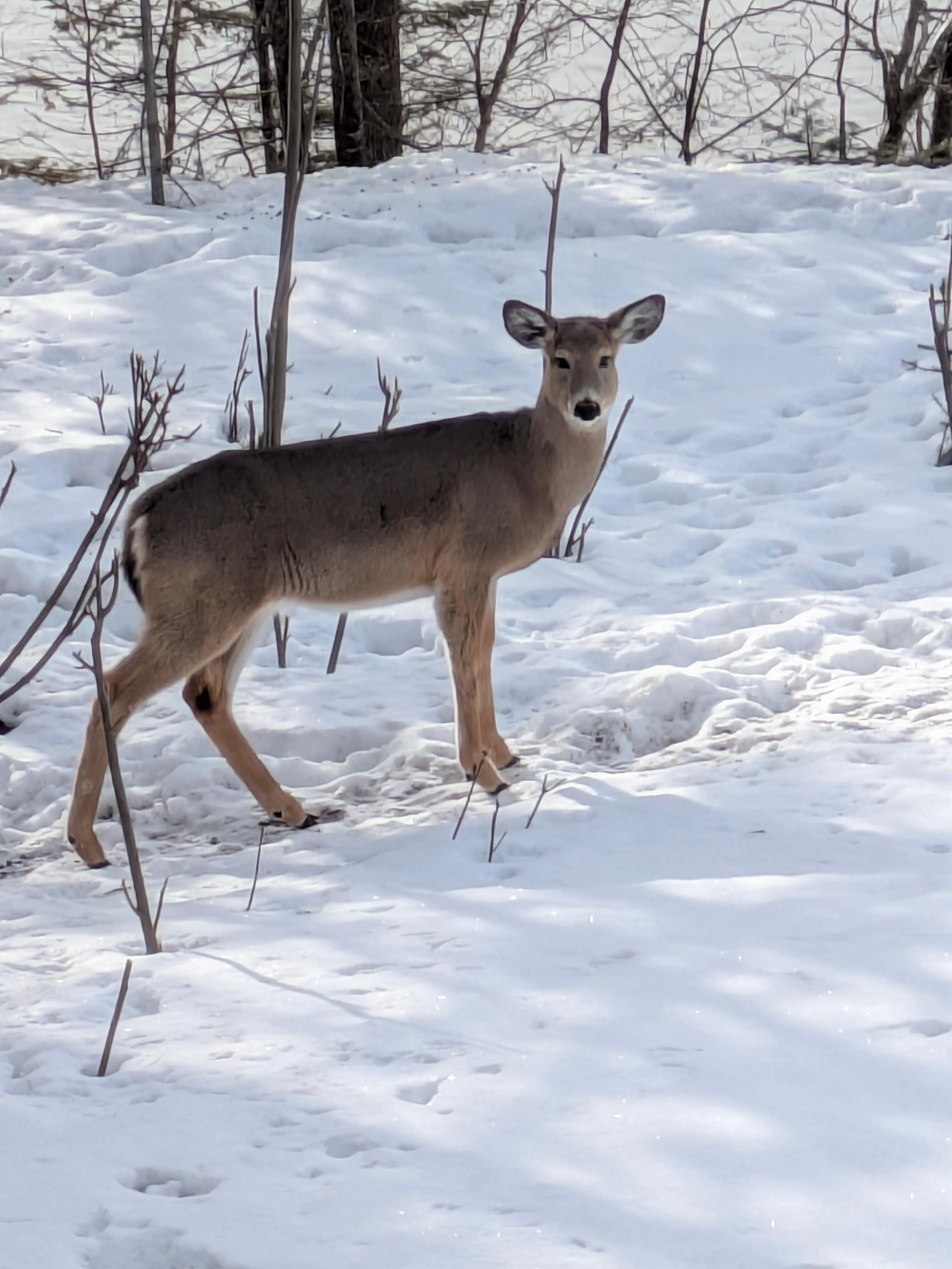 Every night and morning 