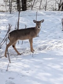 Every night and morning