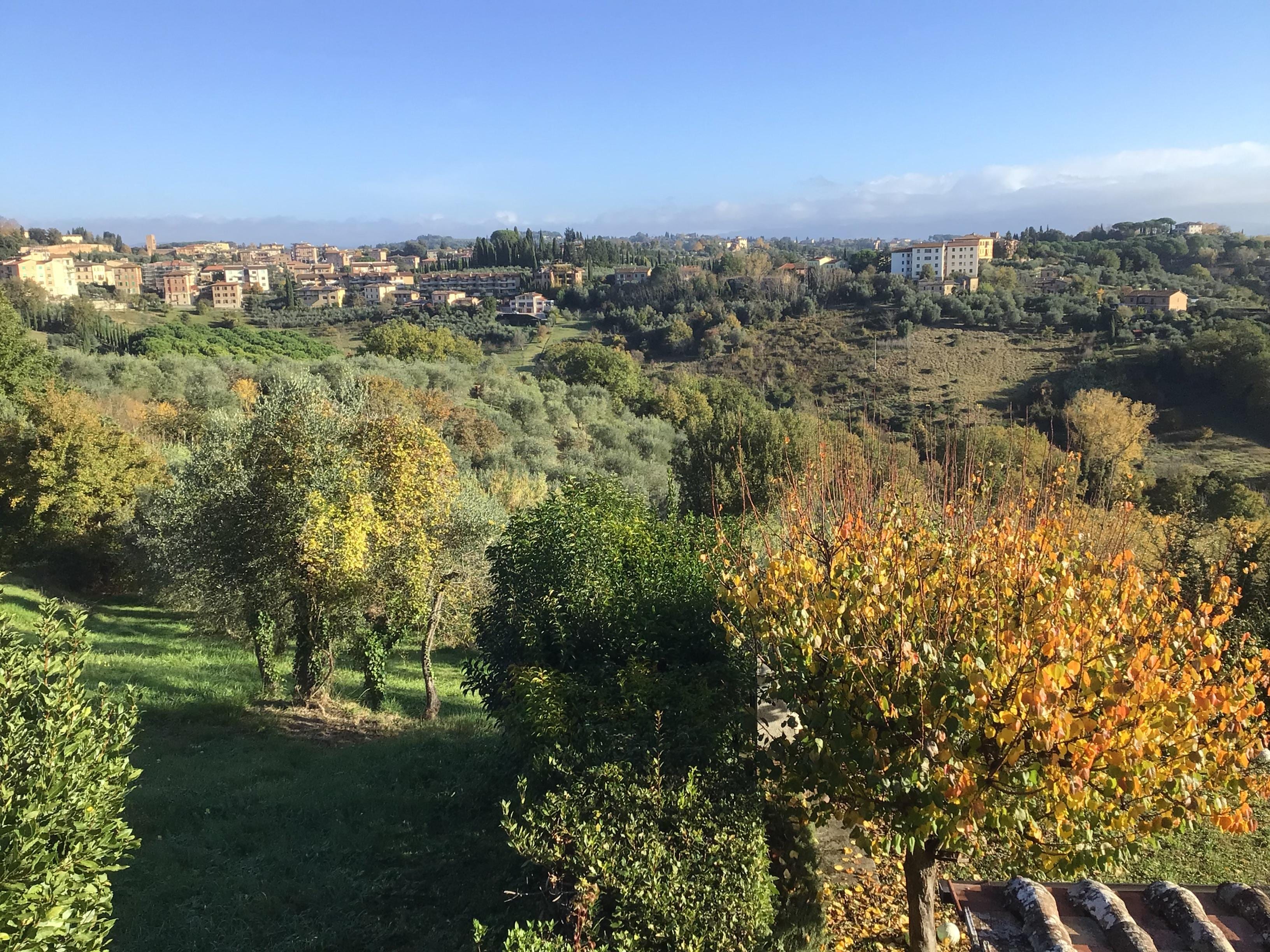 This view from our room was amazing.