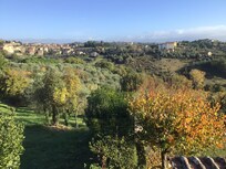 This view from our room was amazing.