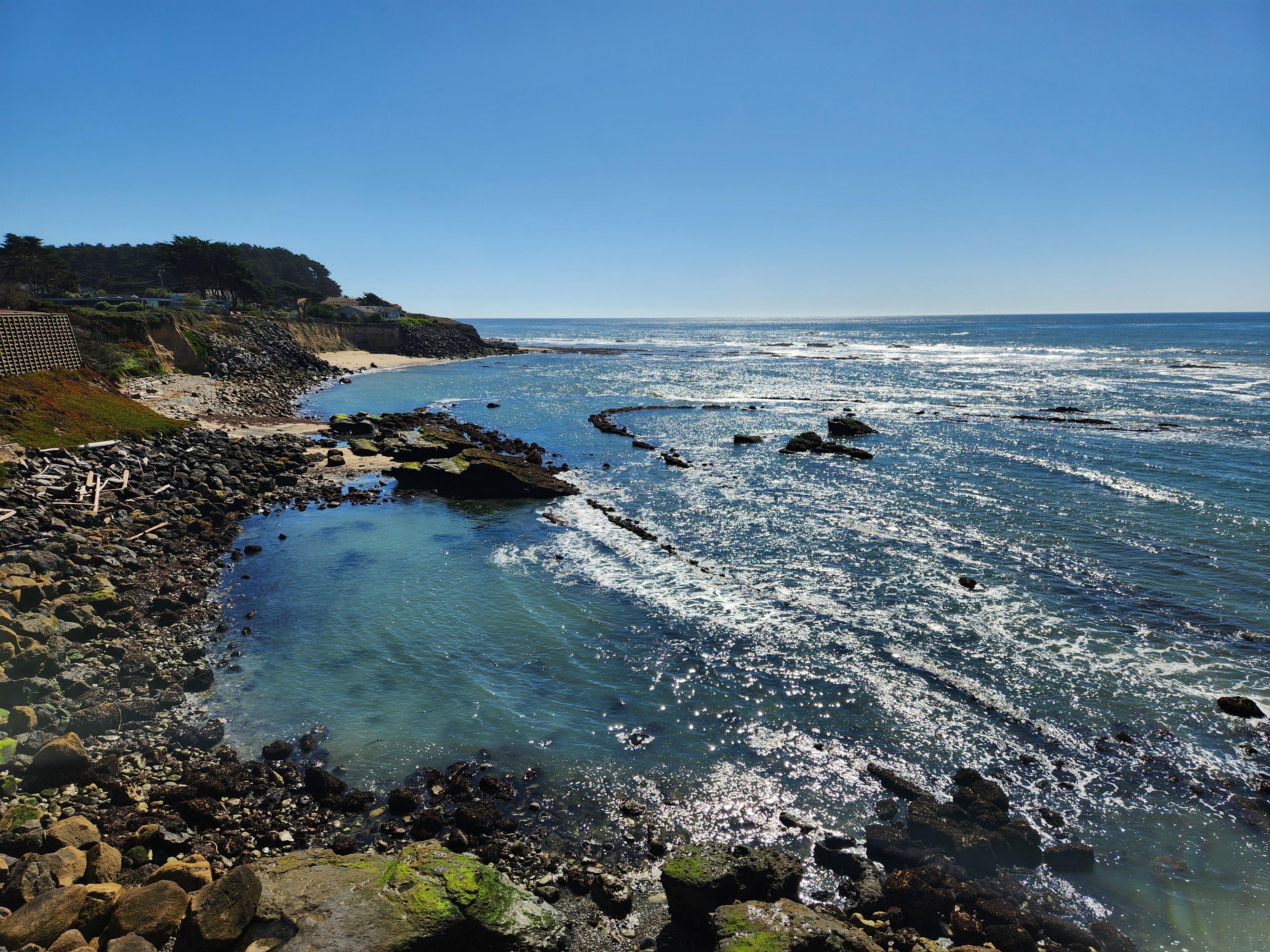 view from the back porch