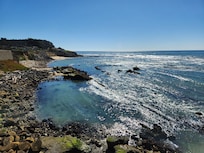 view from the back porch