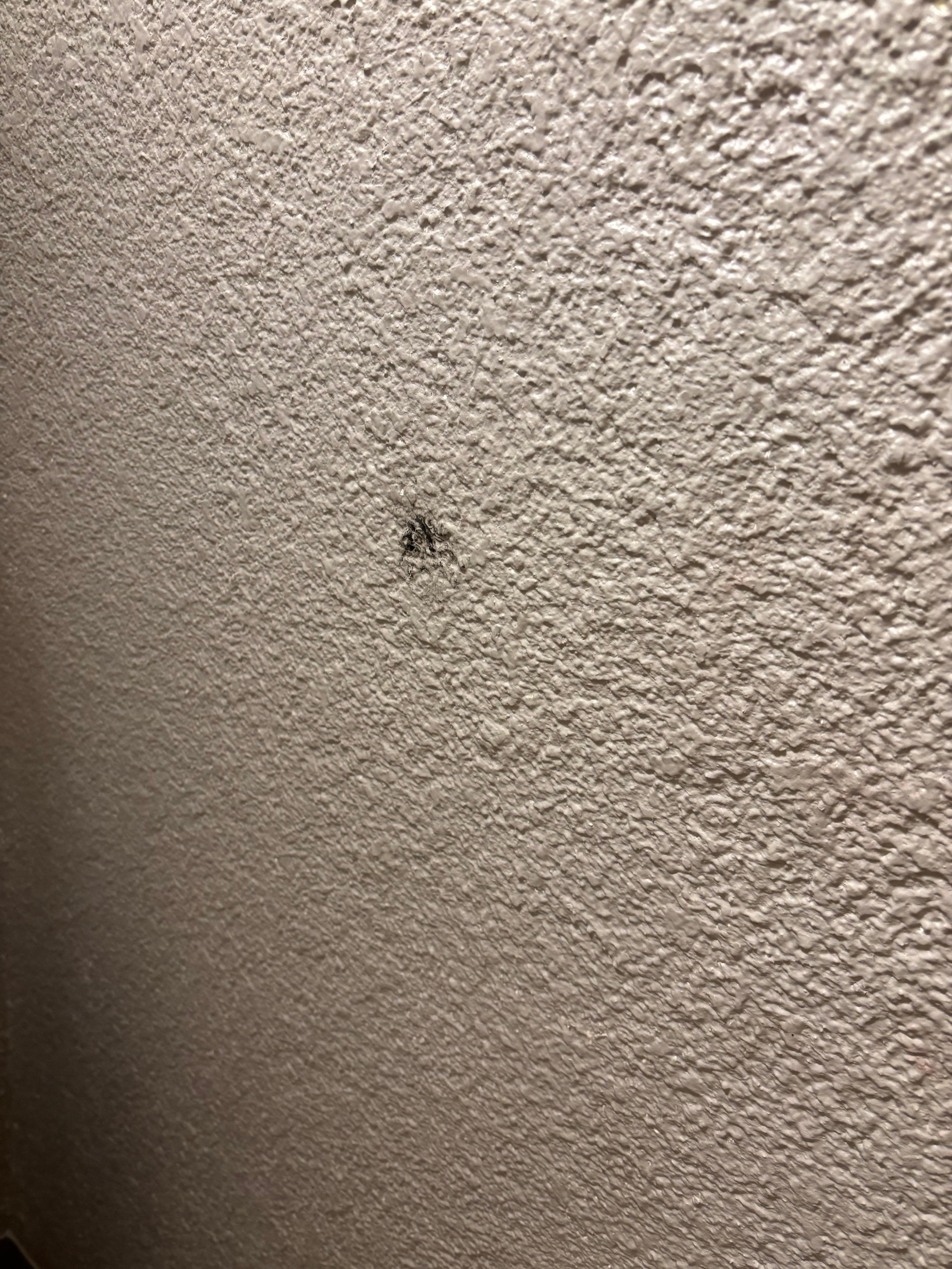 Looks like blood on walls,  floor similar. 