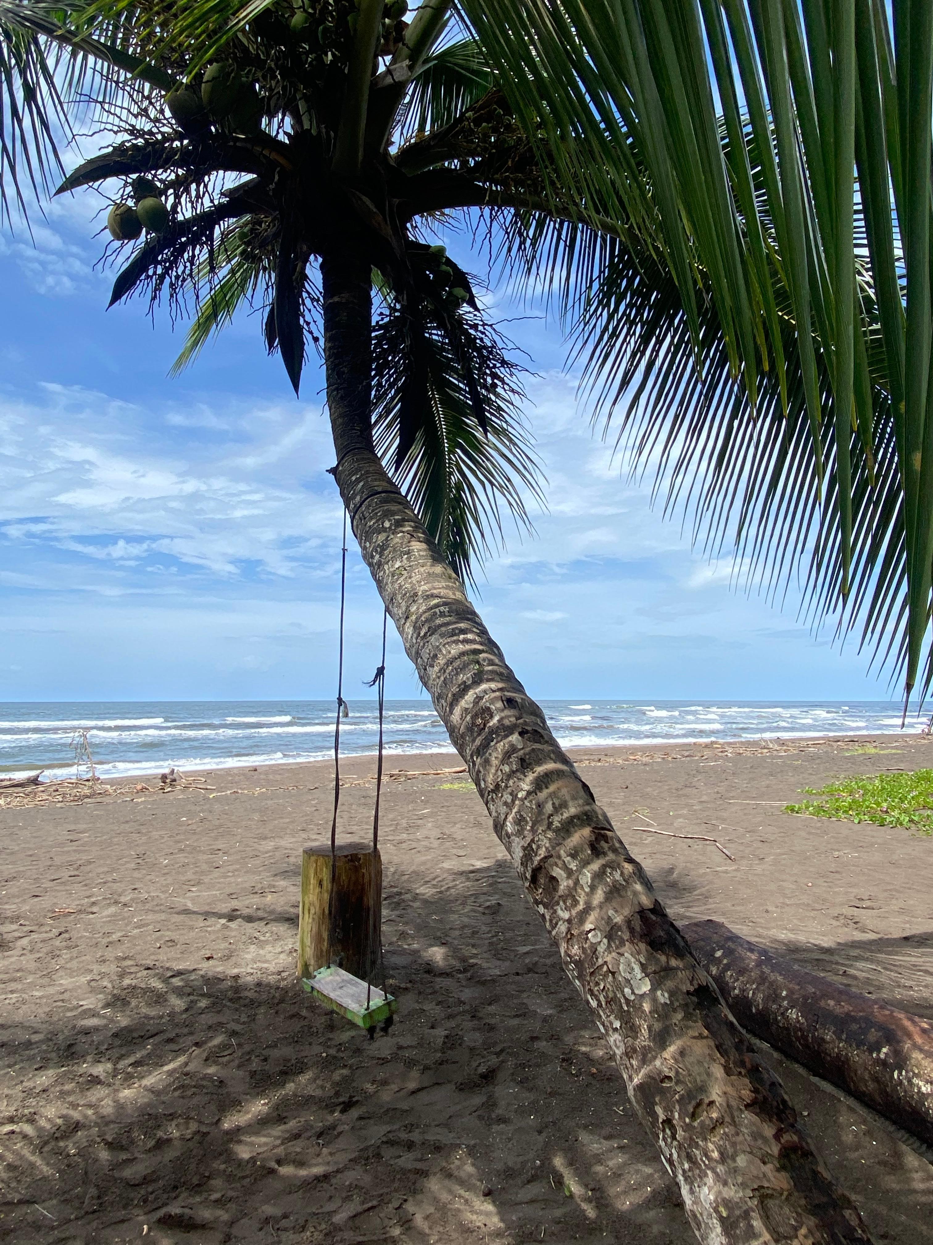 Beach along the hotel