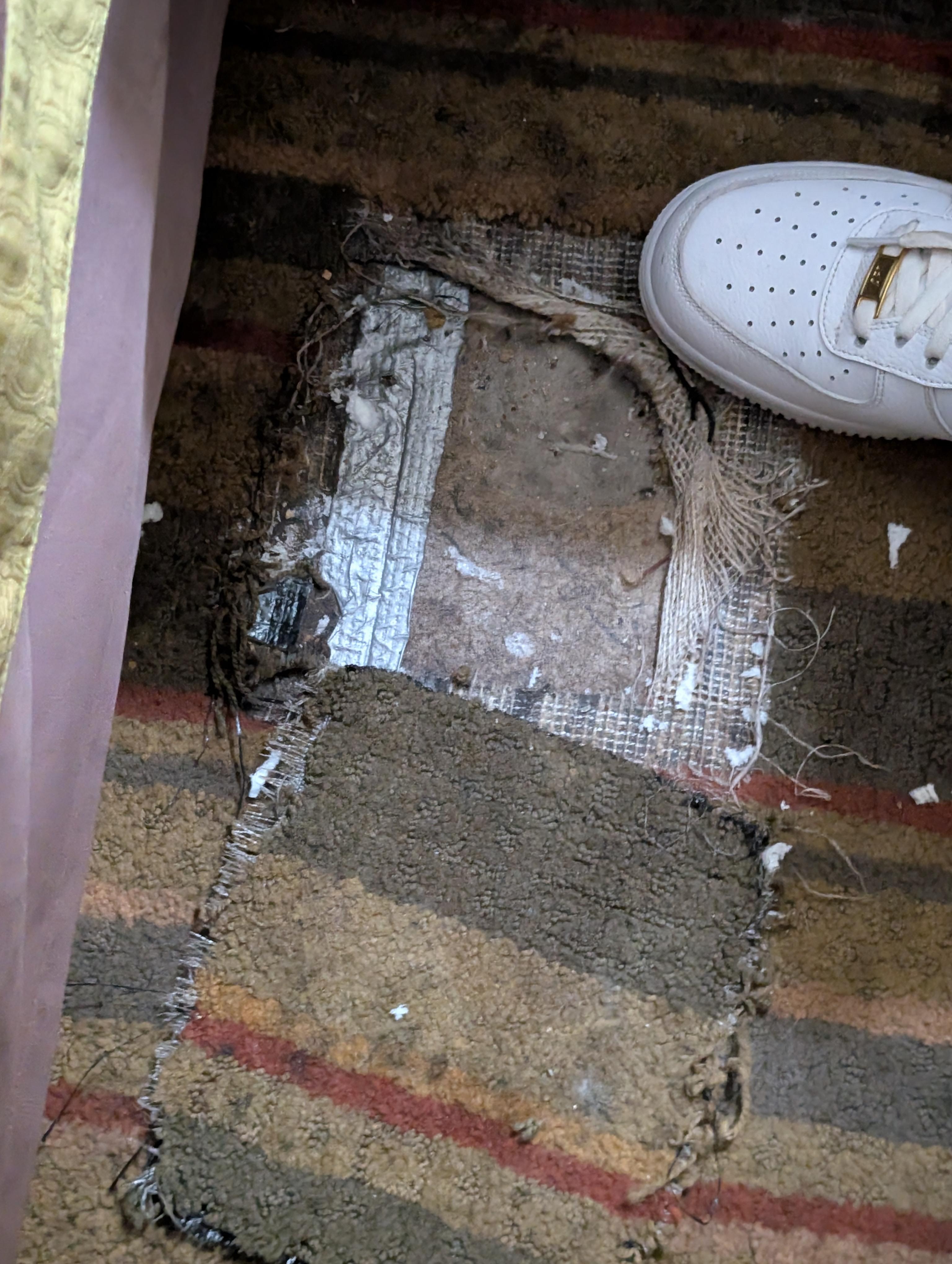 ripped up carpet, why?