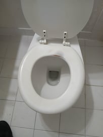 Worn toilet seat