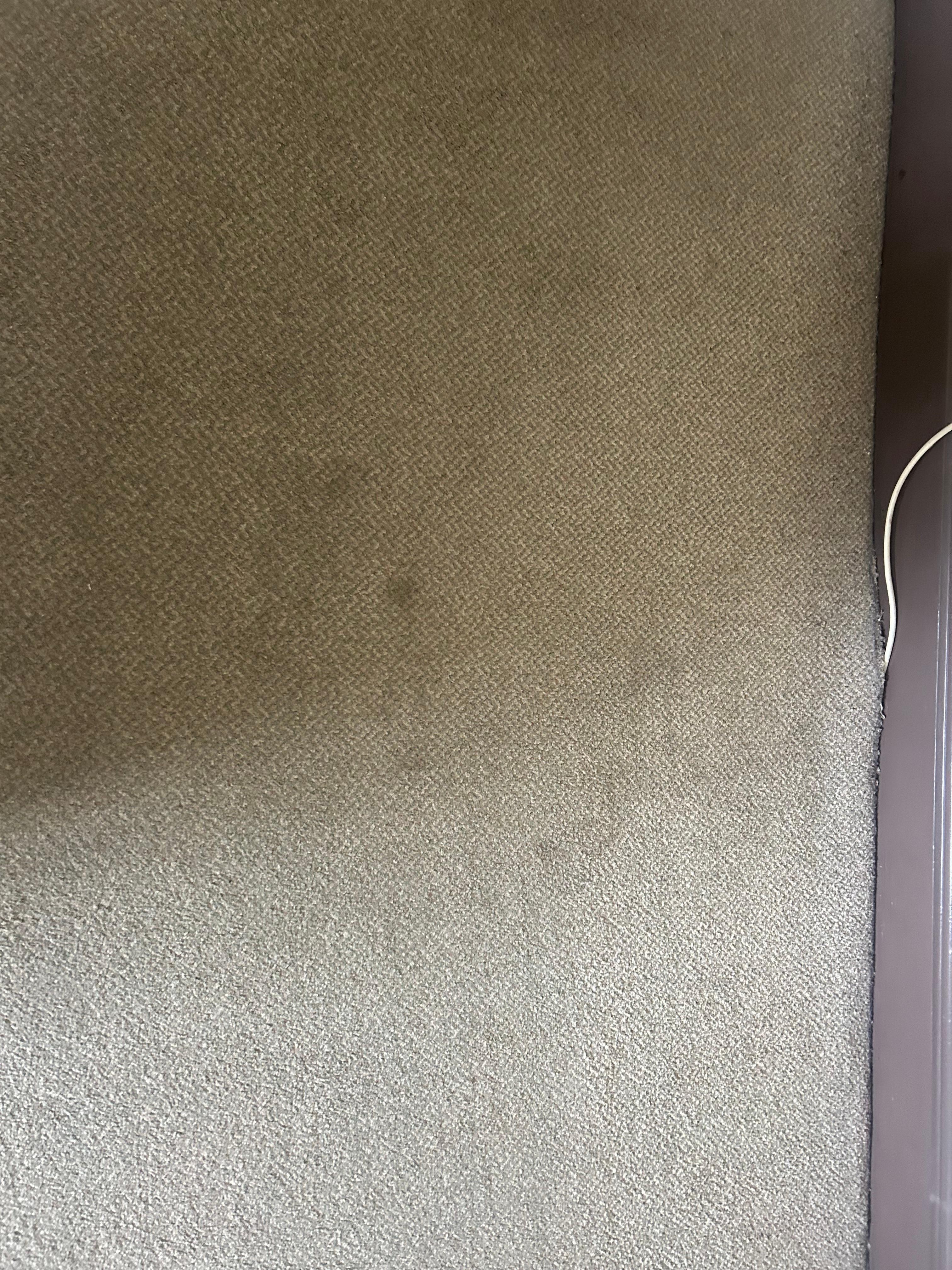 Dirty and stained carpet in room 