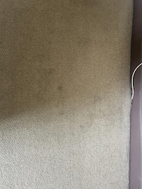 Dirty and stained carpet in room