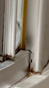 Photos of the shower we were expected to use