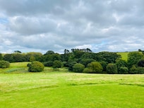 Meadow Barn