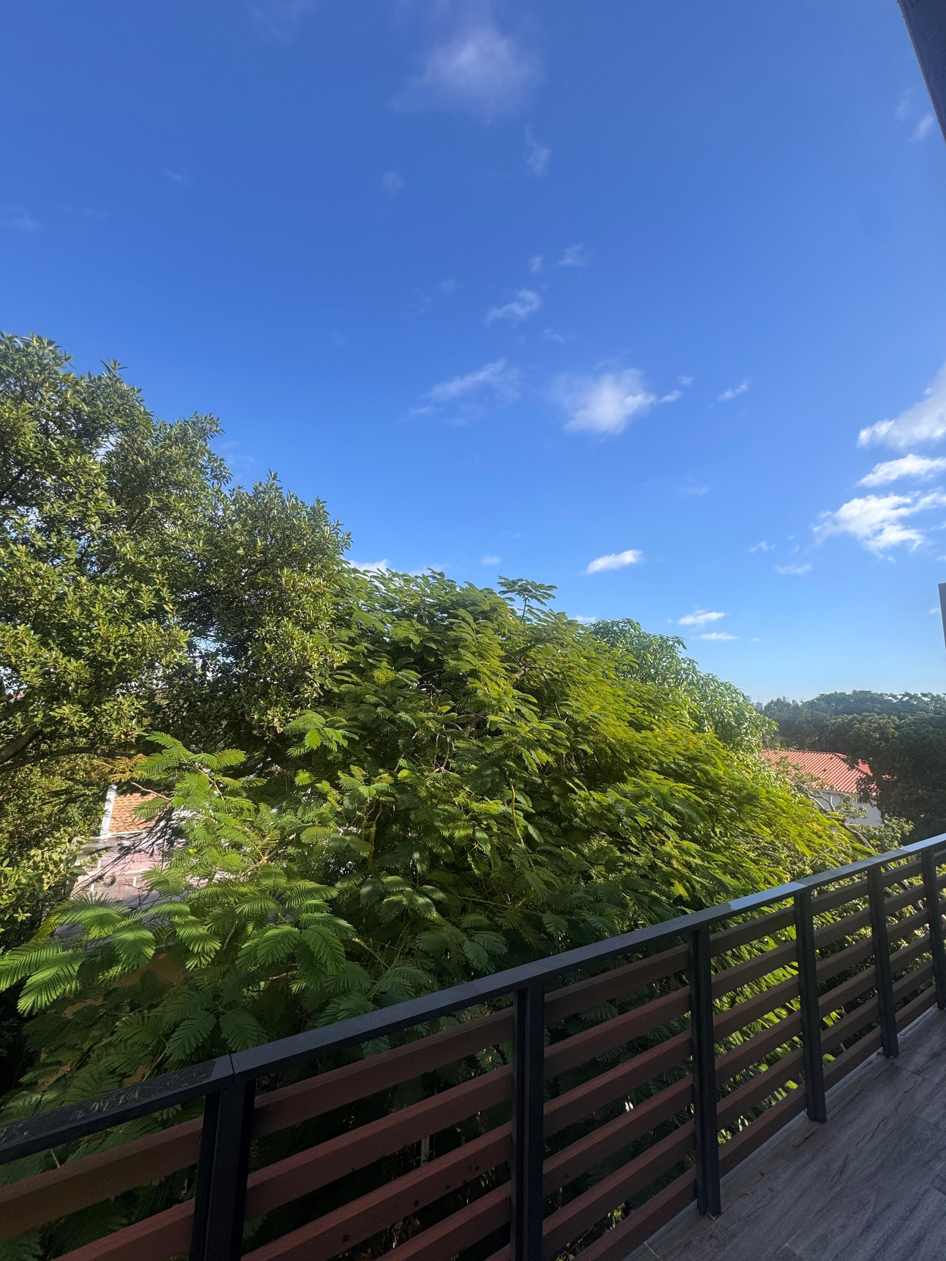 Master bedroom balconette