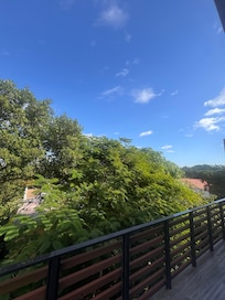 Master bedroom balconette