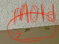 Mold on ceiling