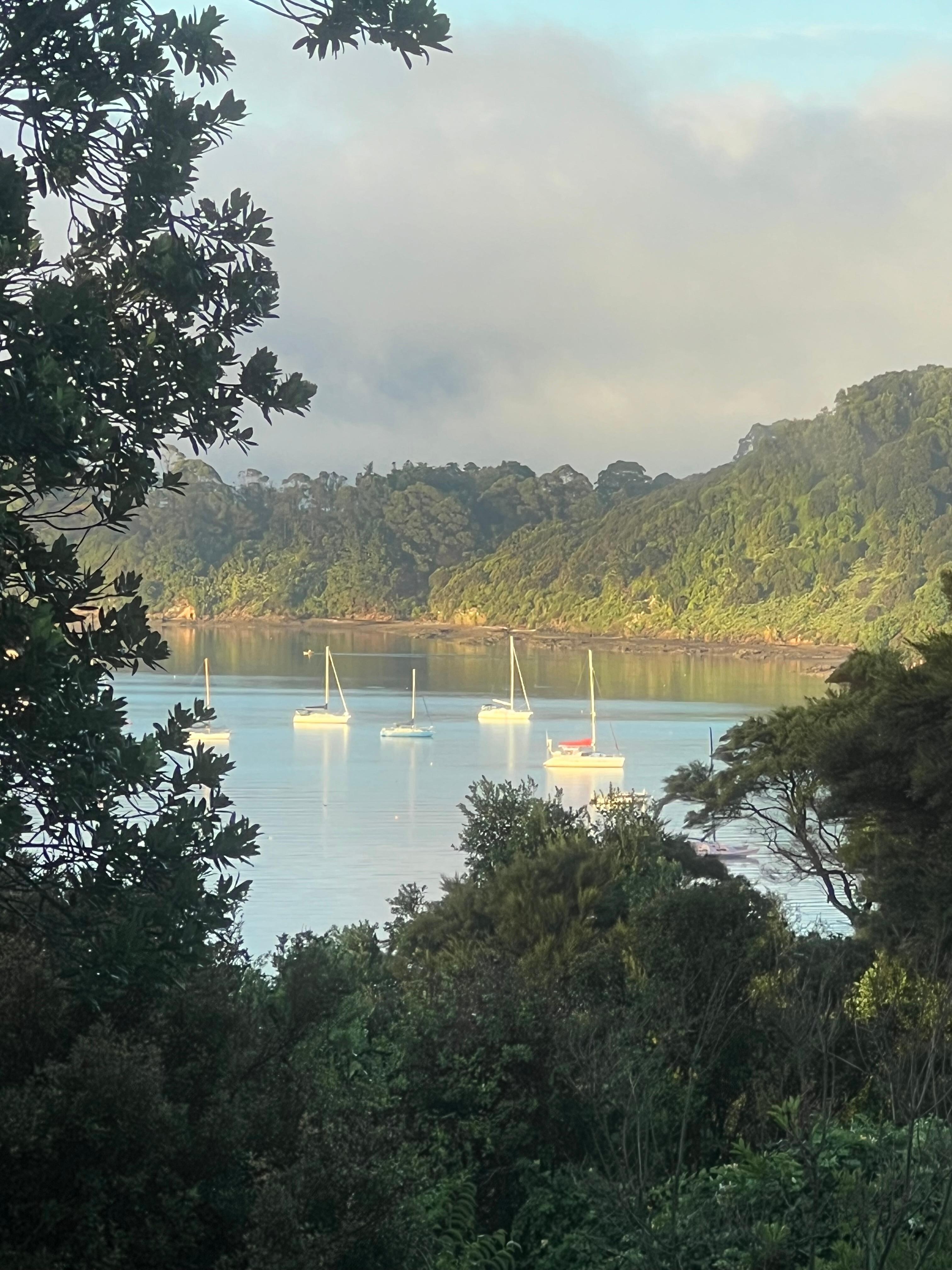 Morning sunrise from the kitchen window