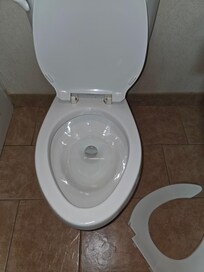 Broken toilet seat