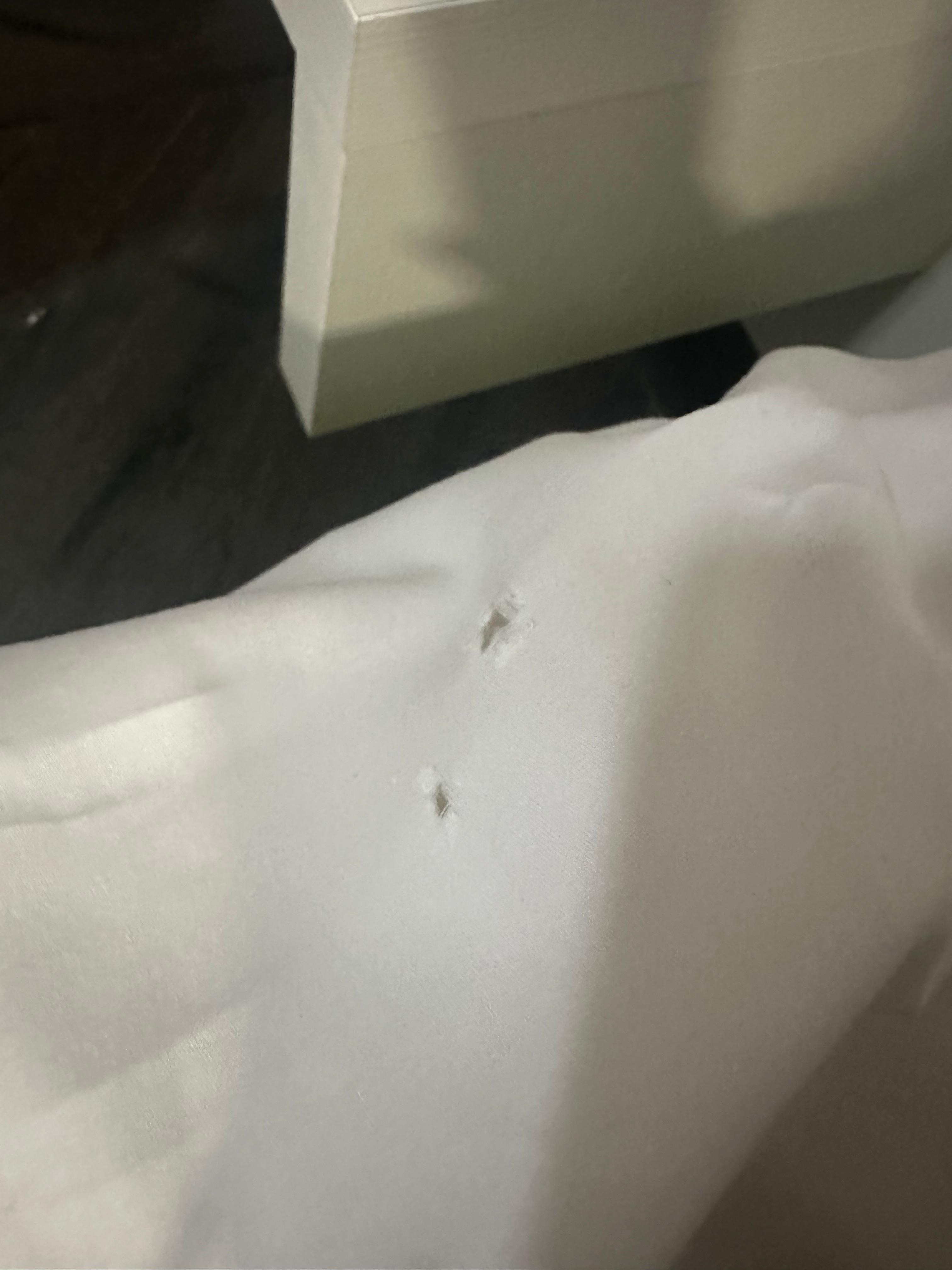 The sheets