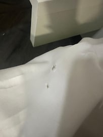 The sheets