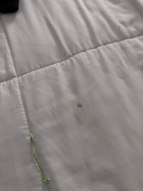 Stains on bedding
