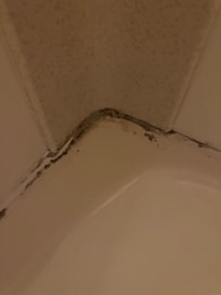 Black mold in shower.