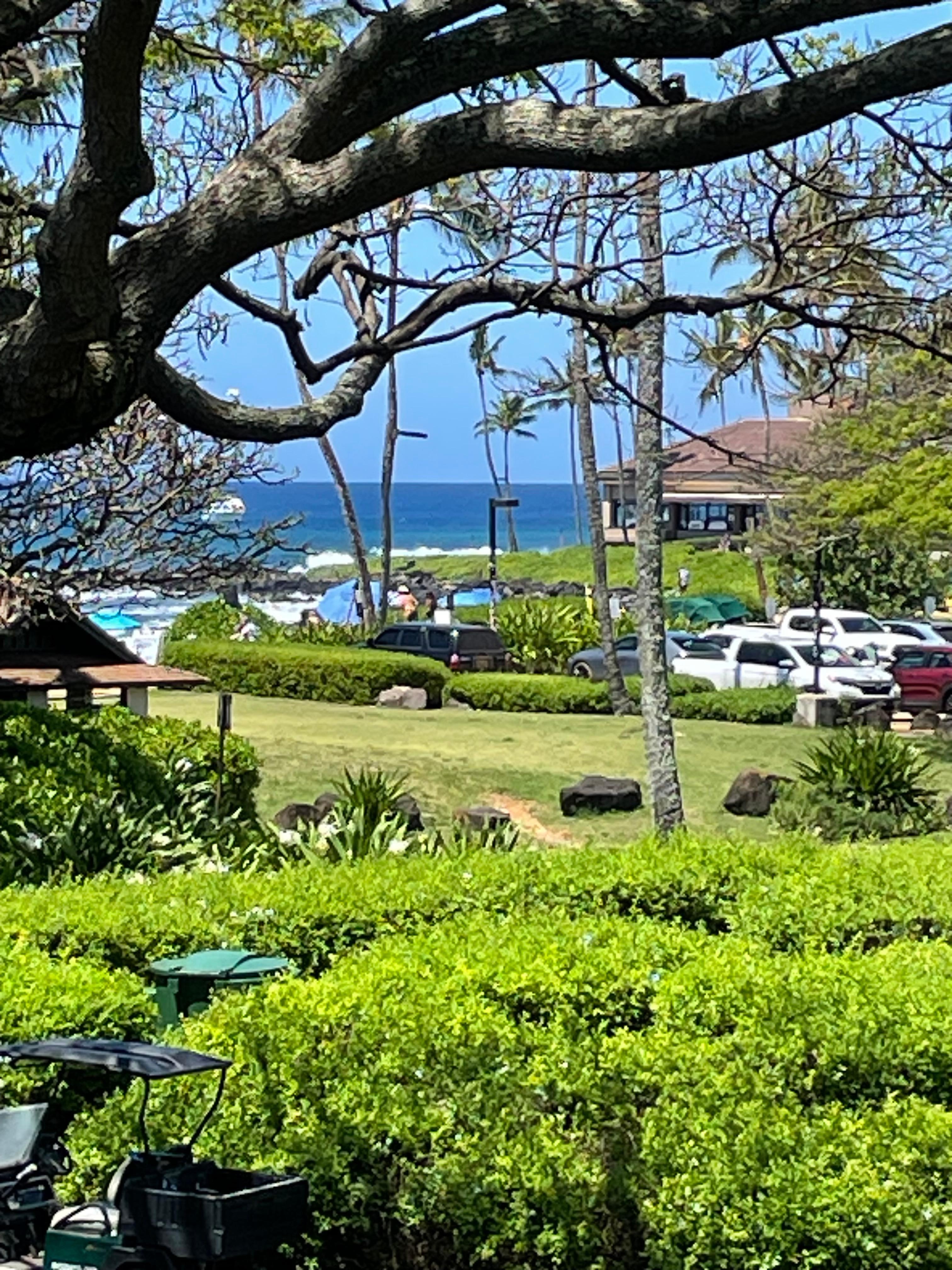 View from the condo.