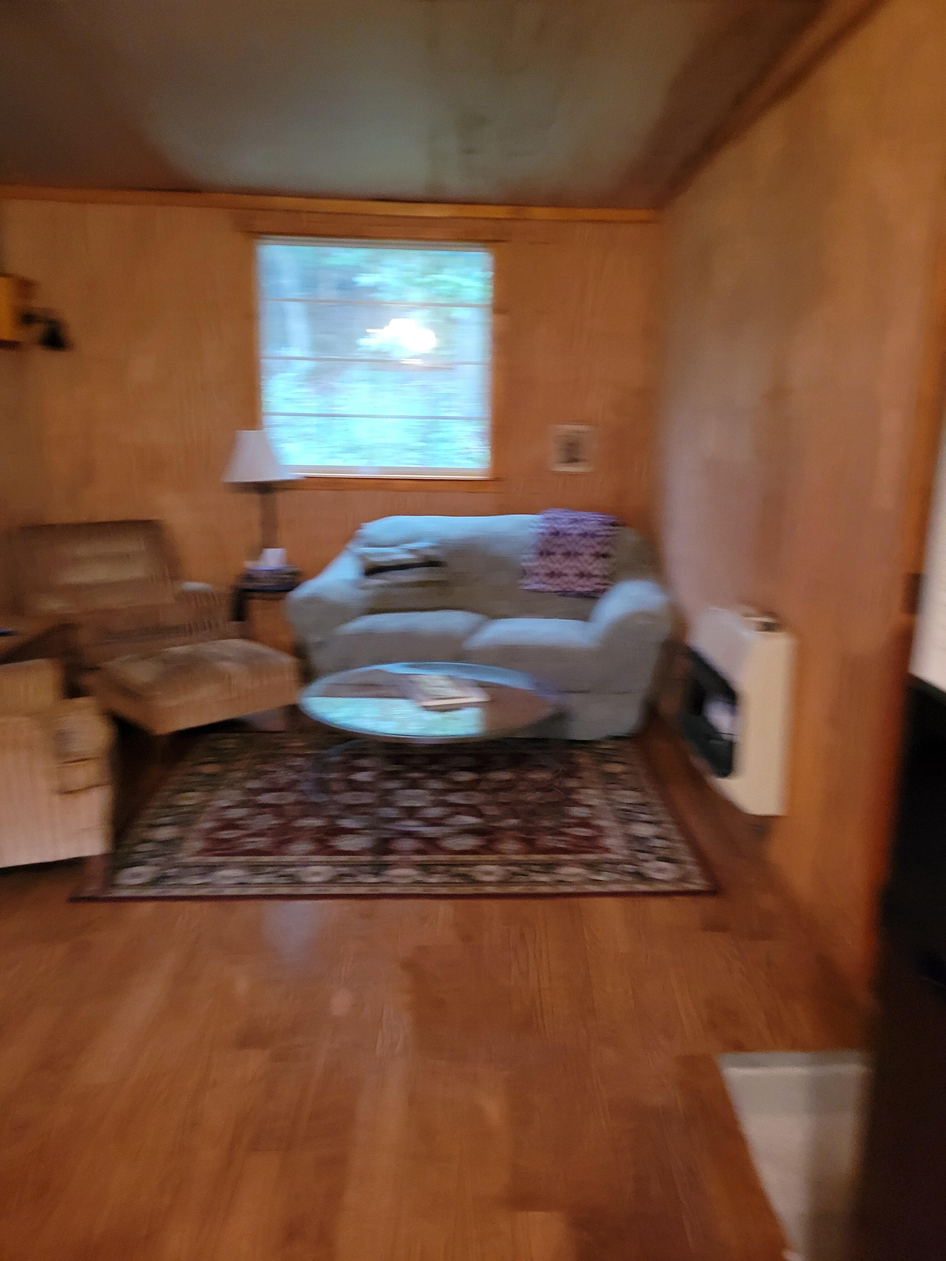 Living room sofa & window