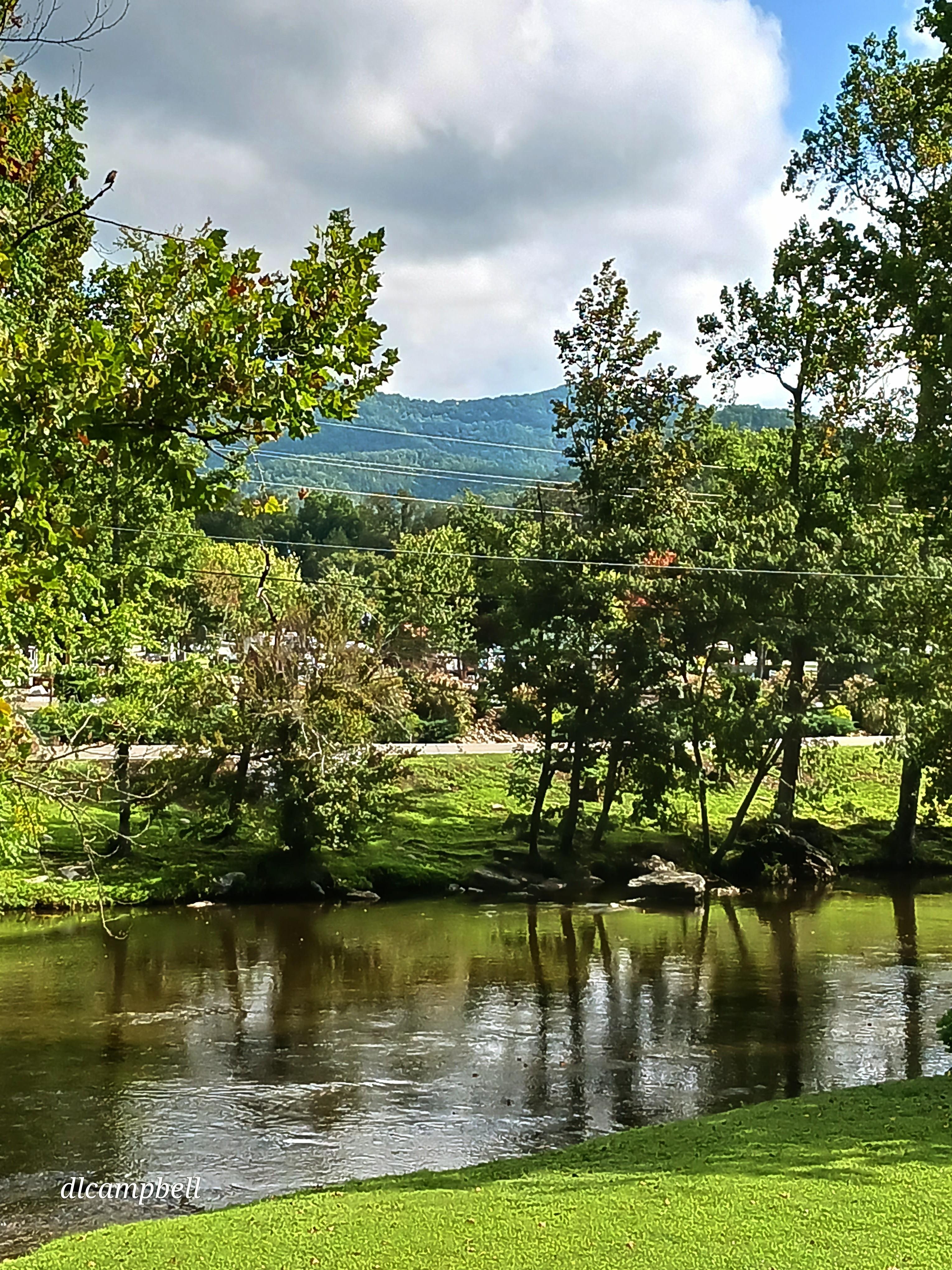 View from back porch