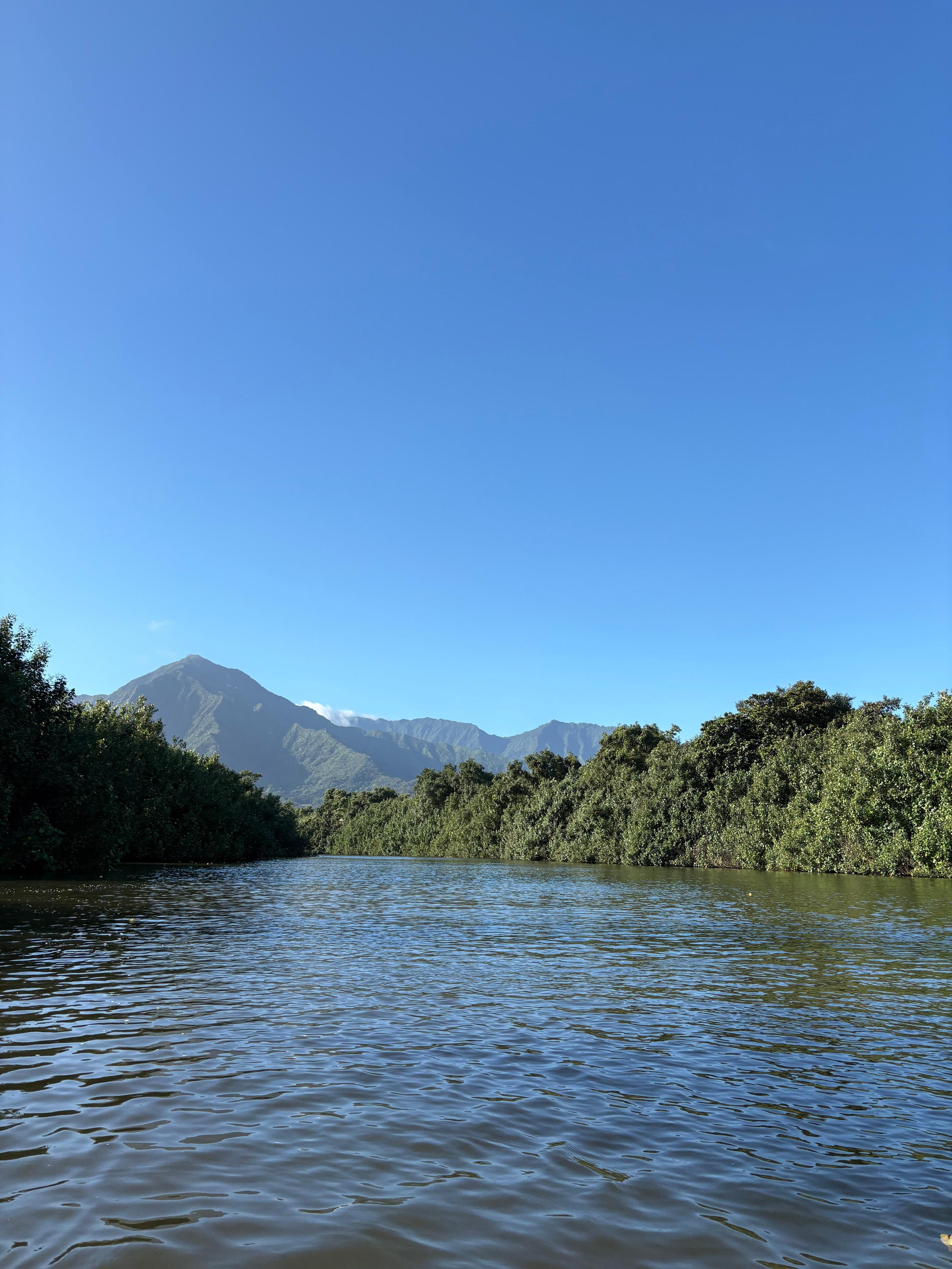Easy access to the highway to get to local kayak tours