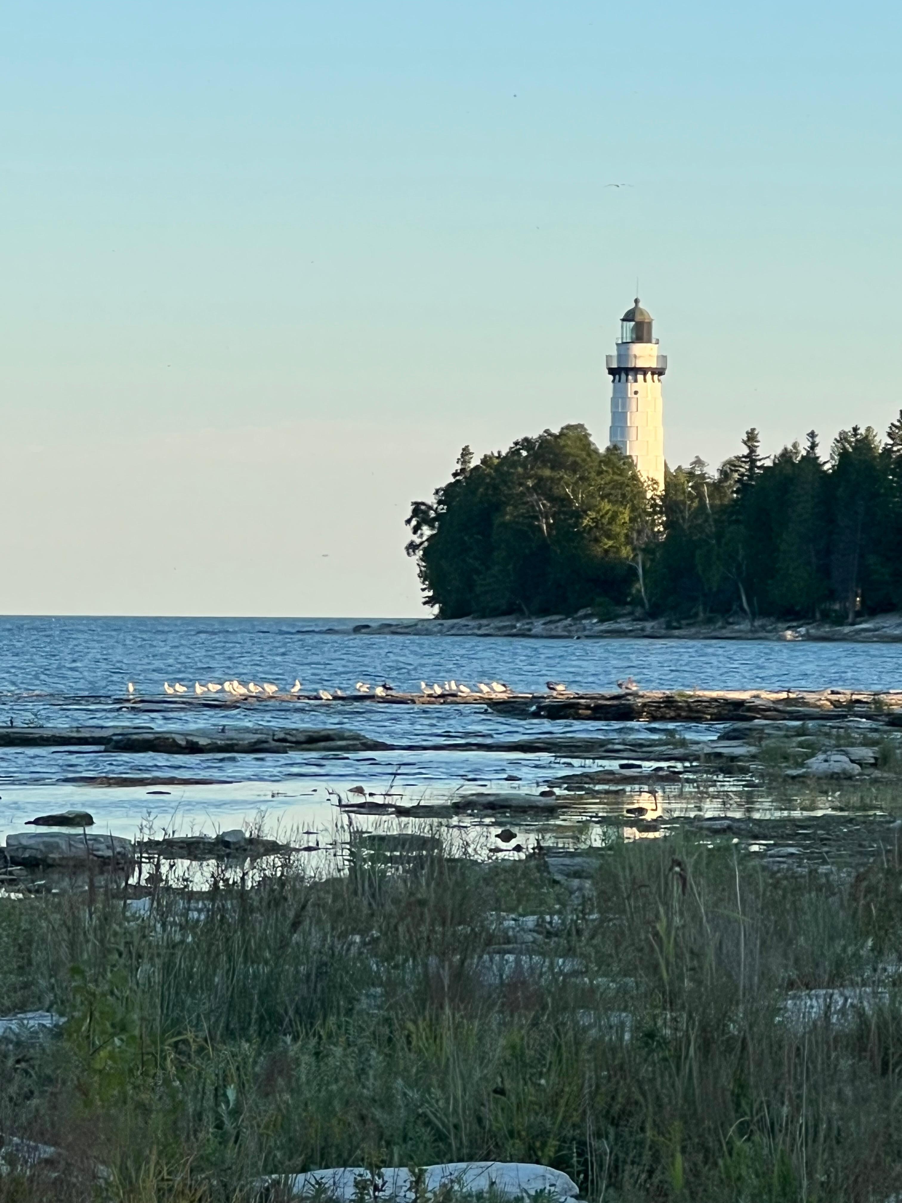 View from the front shore 