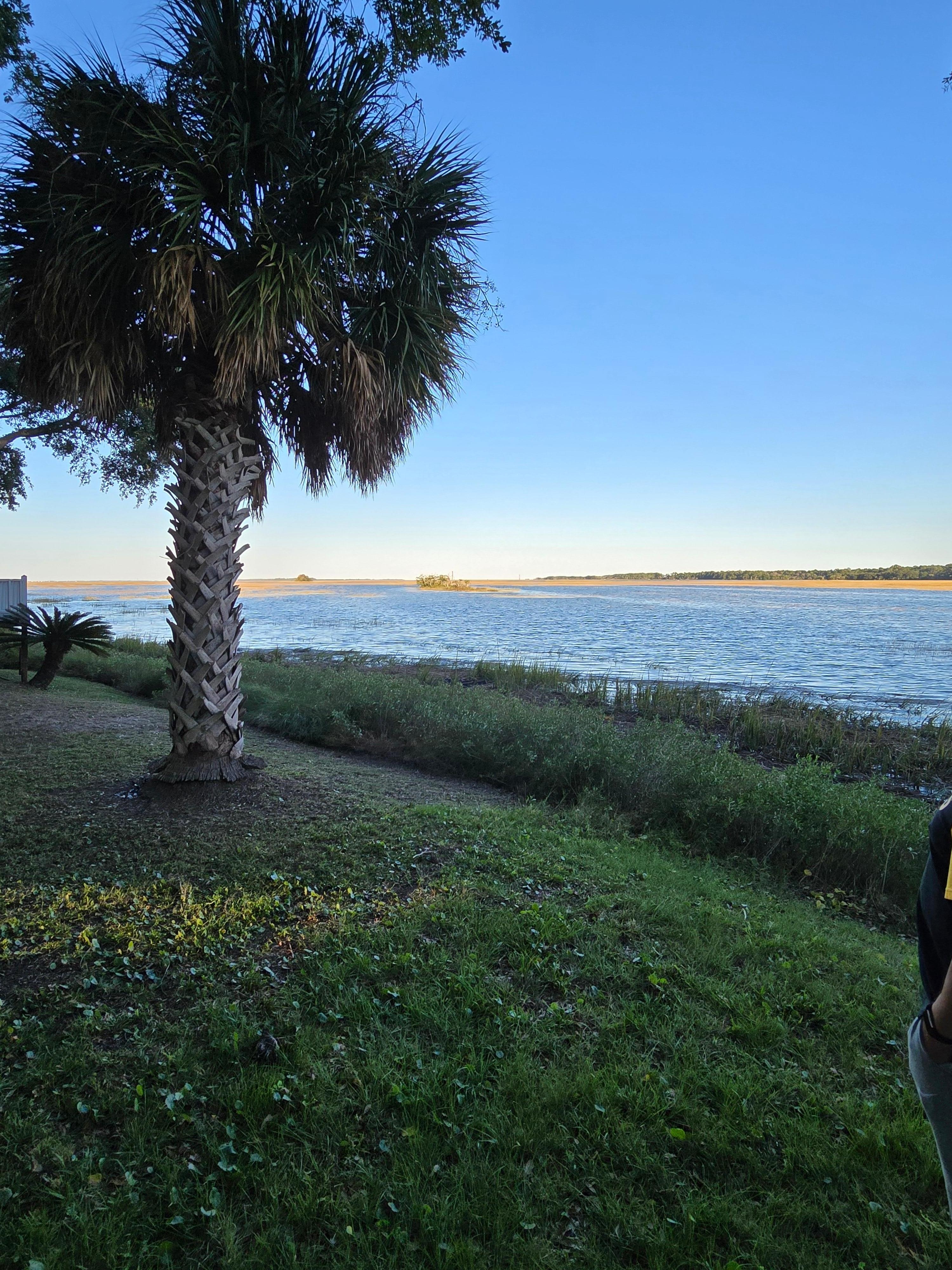 View off the back patio!!  Beautiful!!