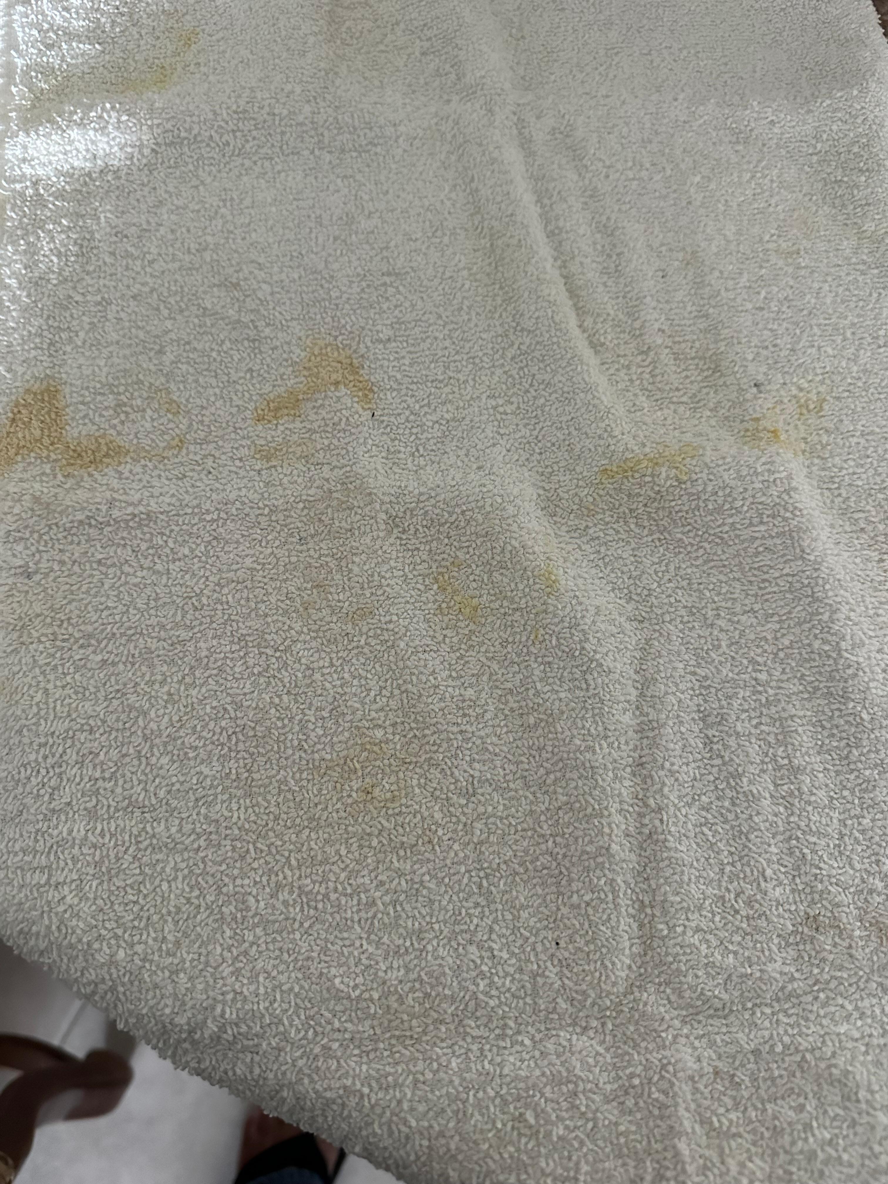 Towel supposedly clean 