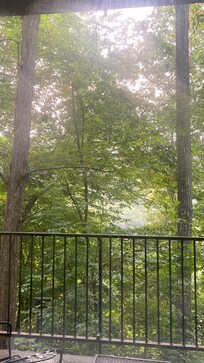 View from the room
