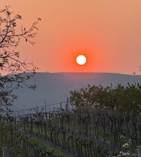 Sundet