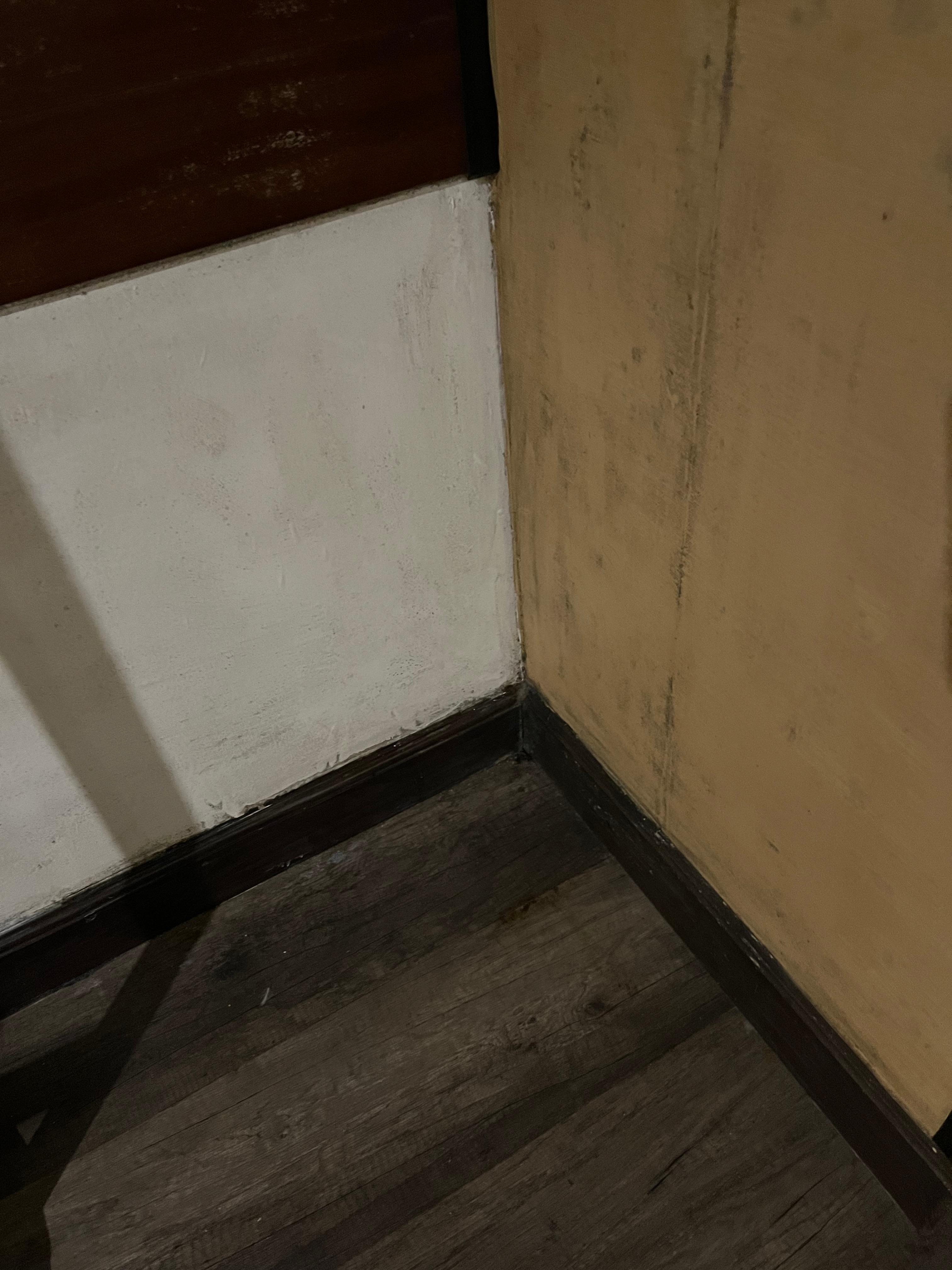 汚い