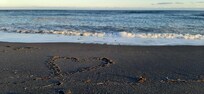 Nabij zwart zandstrand