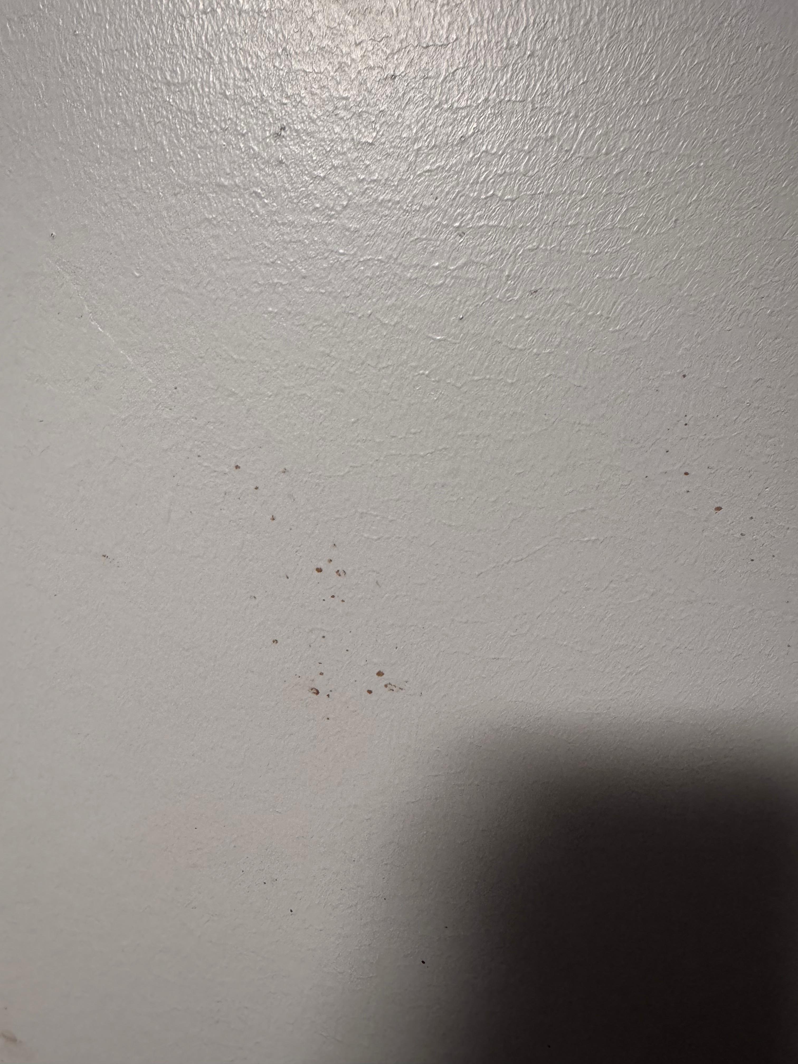 Hopefully not blood splatter
