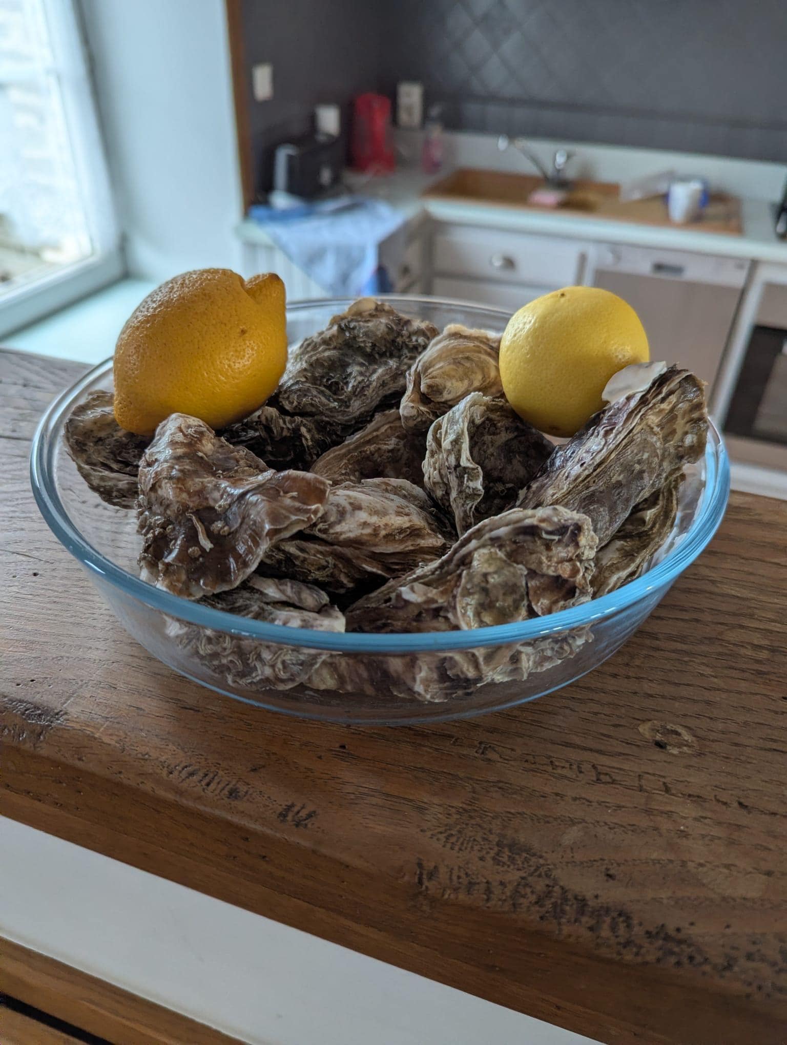 Austern von „nebenan“