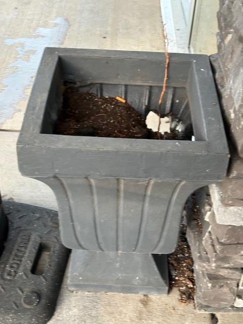 Flower pots at the front door.  