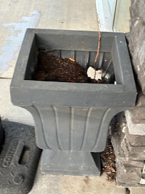 Flower pots at the front door.