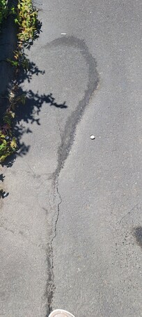 Bottle caps everywhere